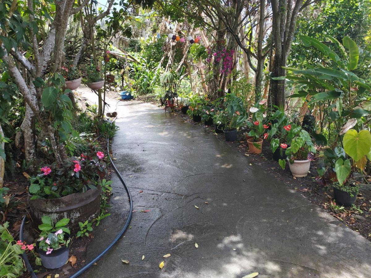 Ker L'Ilet Bed & Breakfast ซีลาโอส ภายนอก รูปภาพ
