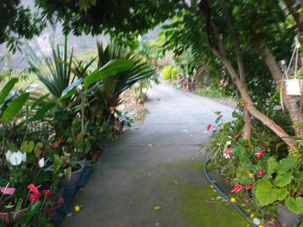 Ker L'Ilet Bed & Breakfast ซีลาโอส ภายนอก รูปภาพ